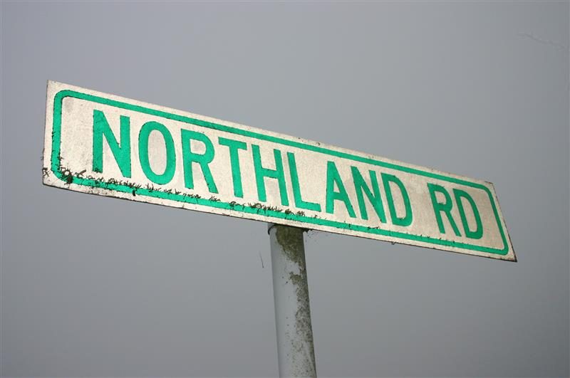 47 Northland Road, Northland, Wellington - Carousel 18