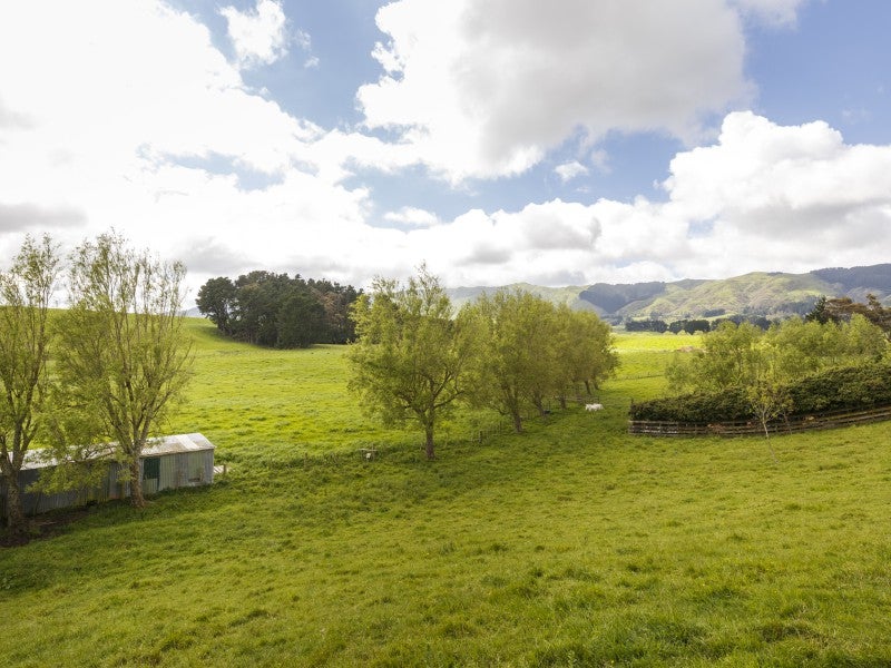 271 Scotts Road, Linton, Palmerston North - Carousel 26