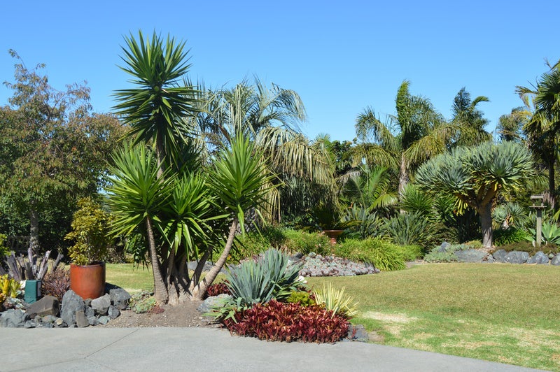 6 Garbolino Road, Mangawhai - Carousel 2
