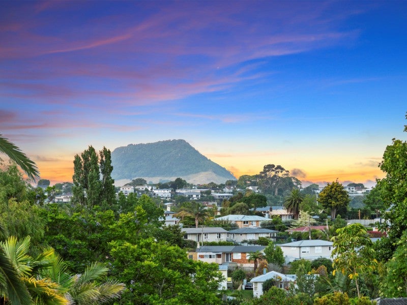 25 Bellevue Road, Brookfield, Tauranga - Carousel 2