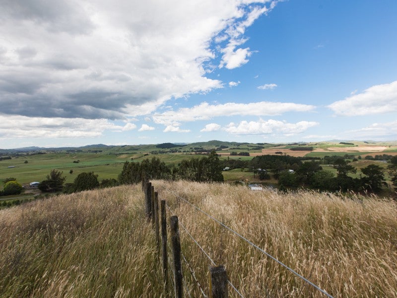 272 Homewood Road, Otane - Carousel 13