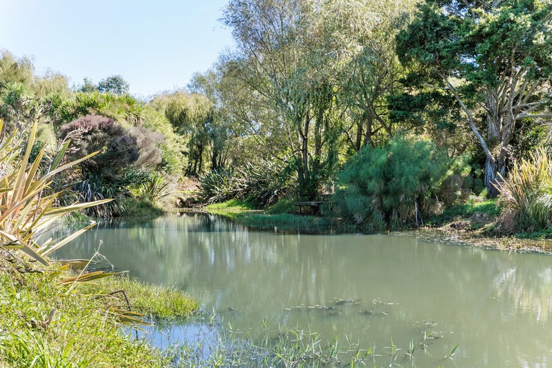 113 Quinn Road, Mauku, Pukekohe - Carousel 20