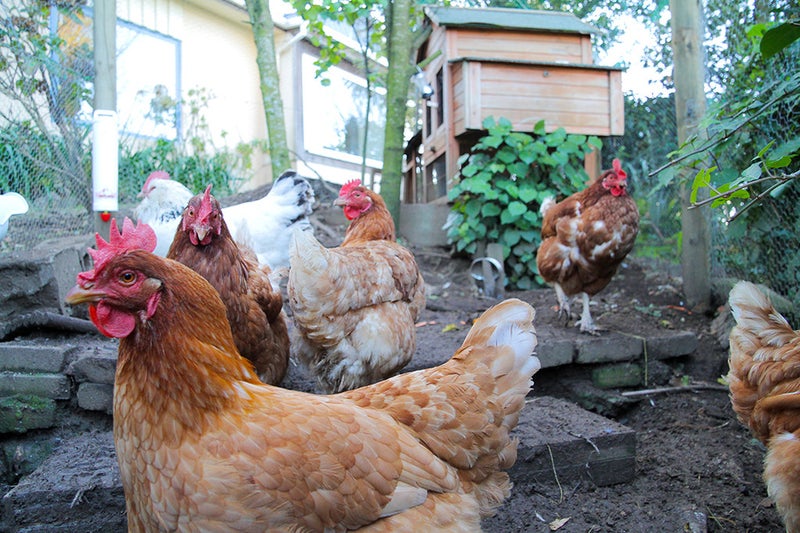 95 Burma Road, Johnsonville, Wellington - Carousel 19