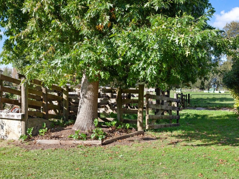 241 Hallett Road, Otakiri - Carousel 26