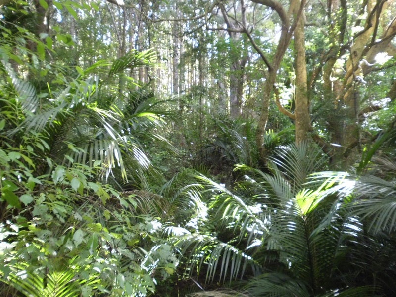 467C Pahi Road, Pahi, Paparoa - Carousel 26