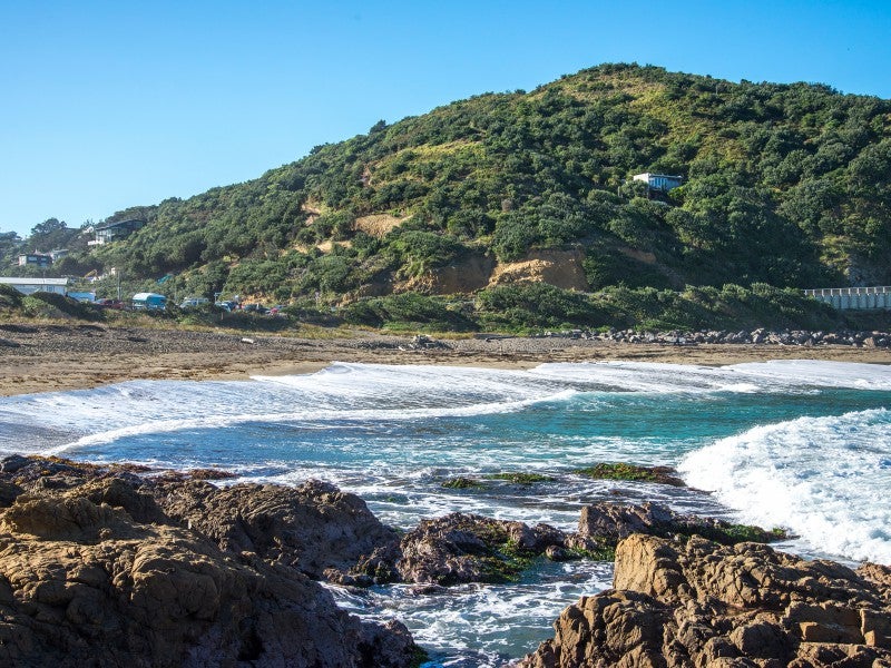 245 Houghton Bay Road, Houghton Bay, Wellington - Carousel 2