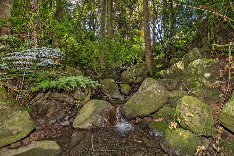 10 Awa Glade Lane, Tikipunga, Whangarei - Carousel 14