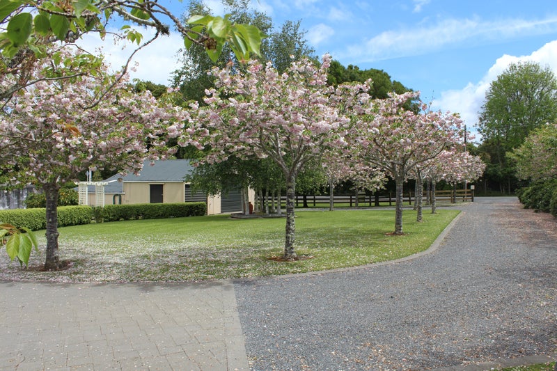 176 Brymer Road, Rotokauri, Hamilton - Carousel 2