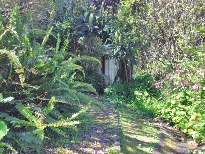 17 Albert Crescent, Ostend, Waiheke Island - Carousel 6