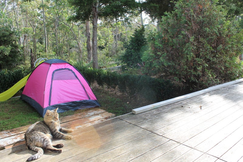 2183A State Highway 10, Kerikeri - Carousel 21