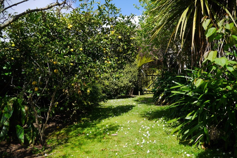 8 Redvers Drive, Belmont, Lower Hutt - Carousel 22