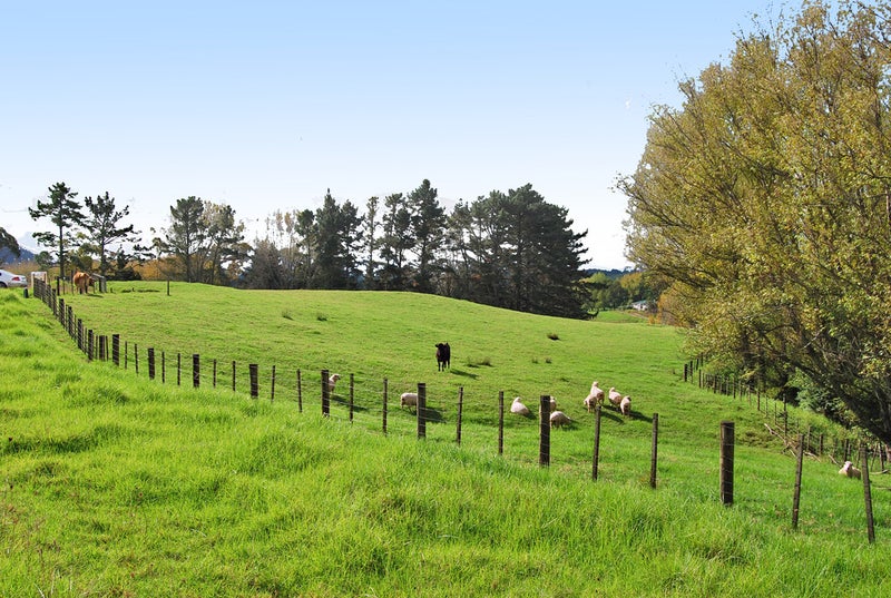 25 Lupis Way, Kaiwaka, Kaiwaka - Carousel 1