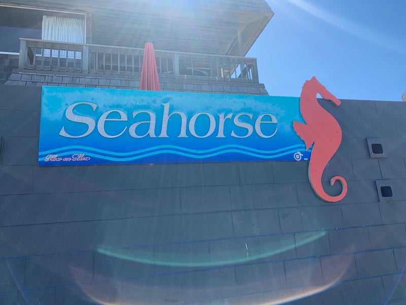 19C COMMONS AVENUE, Mount Maunganui, Tauranga - Carousel 14