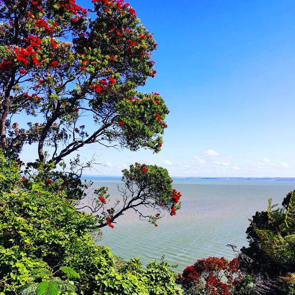 50 Cliff View Drive, Green Bay, Auckland - Carousel 1