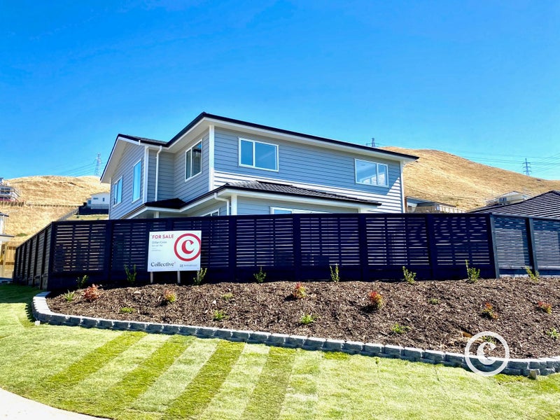 163 Amesbury Drive, Churton Park, Wellington - Carousel 24
