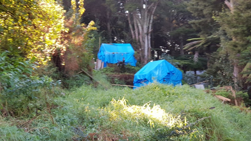 3/58 Boundary Road, Tikipunga, Whangarei - Carousel 11