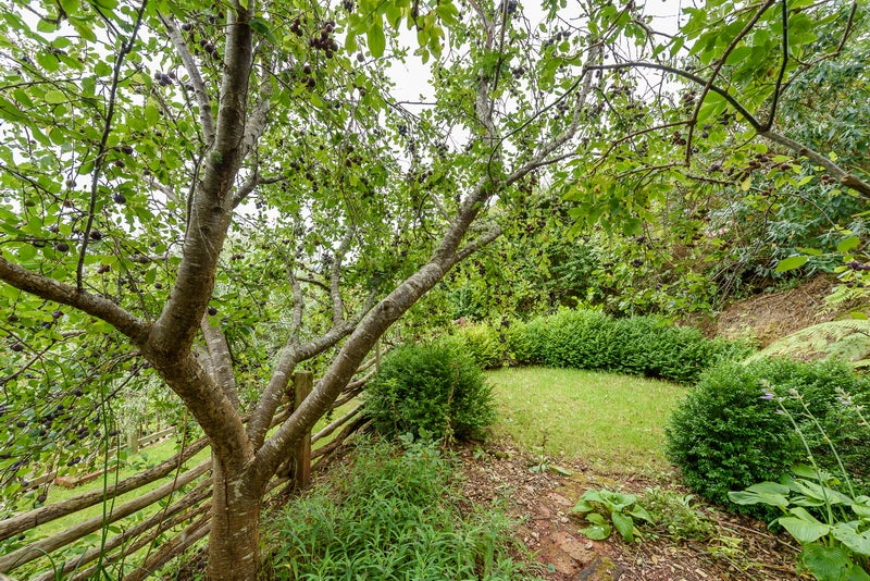 55 Fox Street, Ngaio, Wellington - Carousel 20