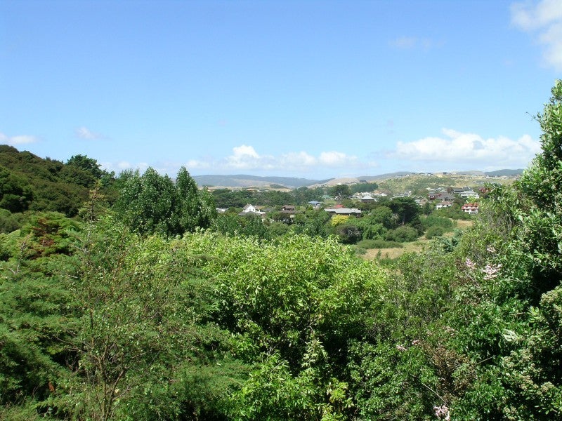 98 Ayton Drive, Whitby, Porirua - Carousel 20