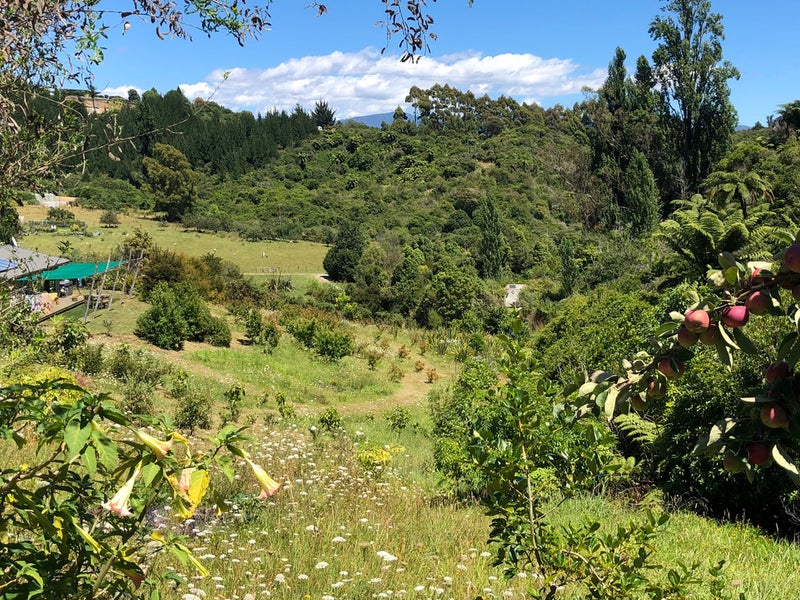 8 Mockingbird Ridge, Takaka - Carousel 19