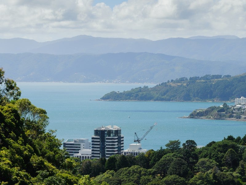 31 Harbour View Road, Northland, Wellington - Carousel 24