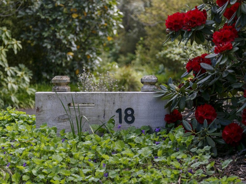 18 Whakamoenga Point, Acacia Bay, Taupō - Carousel 26