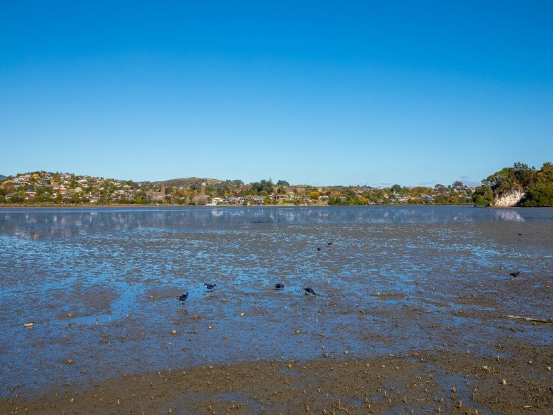 14 Ebbtide Way, Maungatapu, Tauranga - Carousel 10