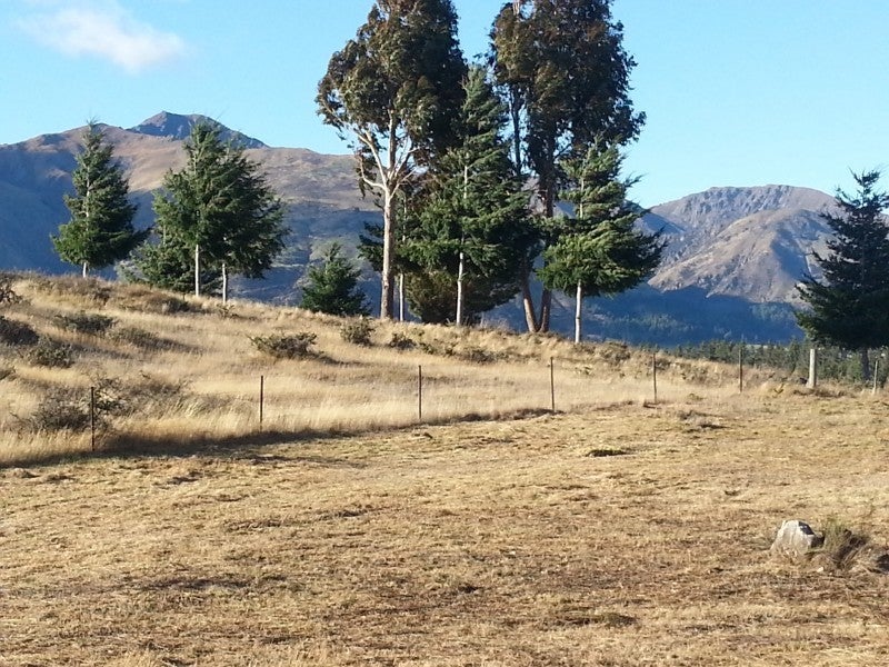 48B Nichol Street, Wanaka - Carousel 1