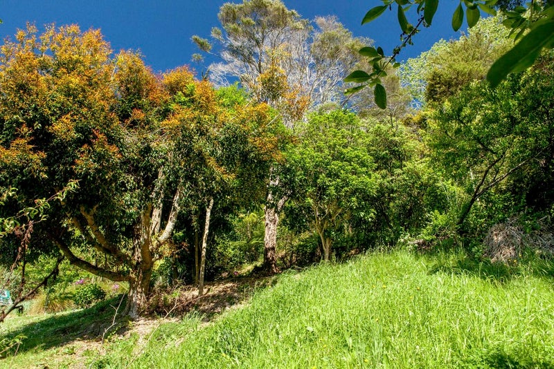 22 Lannan Road, Surfdale, Waiheke Island - Carousel 26