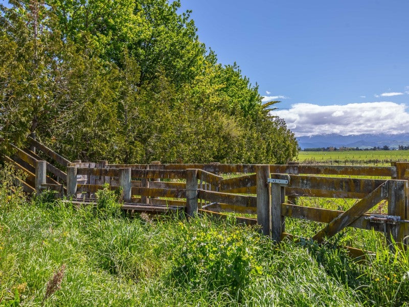 732 Carters Line, East Taratahi - Carousel 20