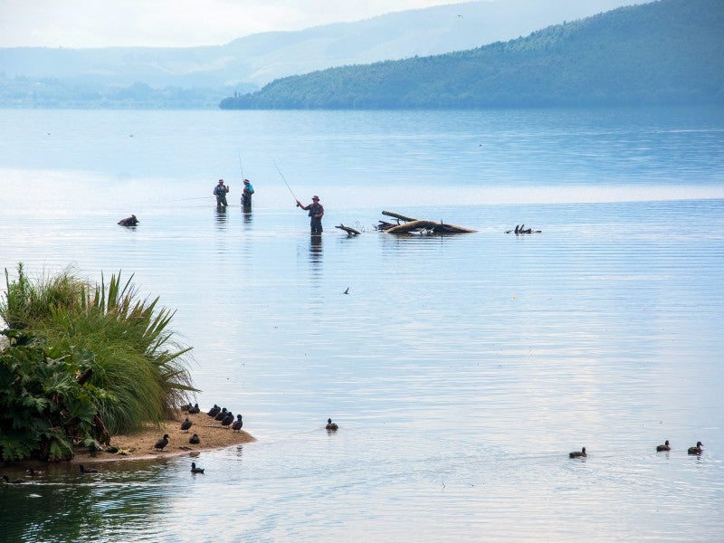 4A Operiana Street, Ngongotaha, Rotorua - Carousel 14