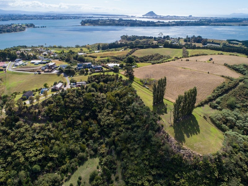 31 Eagleview Rise, Welcome Bay, Tauranga - Carousel 1