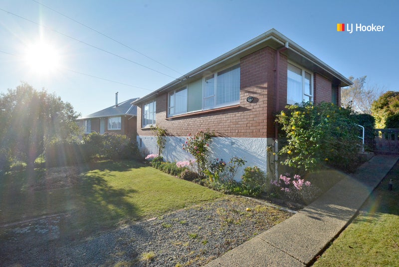 113 Caldwell Street, Brockville, Dunedin - Carousel 19