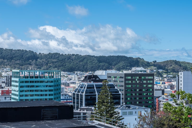 19/217 The Terrace, Wellington Central, Wellington - Carousel 2