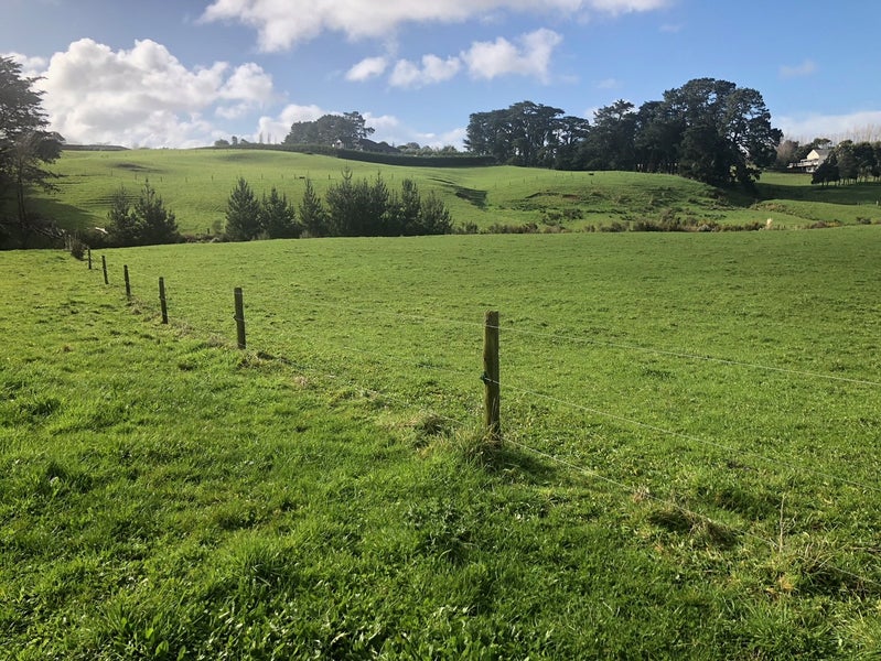 115 Saddleton Road, Pukekohe - Carousel 20