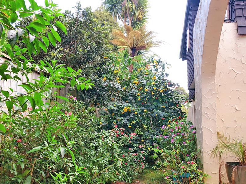 1 Cobblestone Lane, Hillcrest, Auckland - Carousel 11