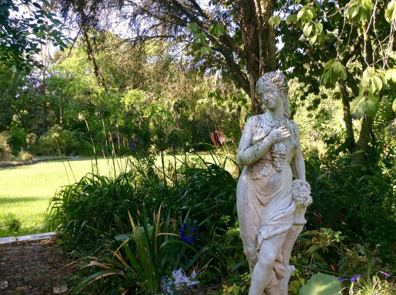 918 Dairy Flat Highway, Albany - Carousel 20