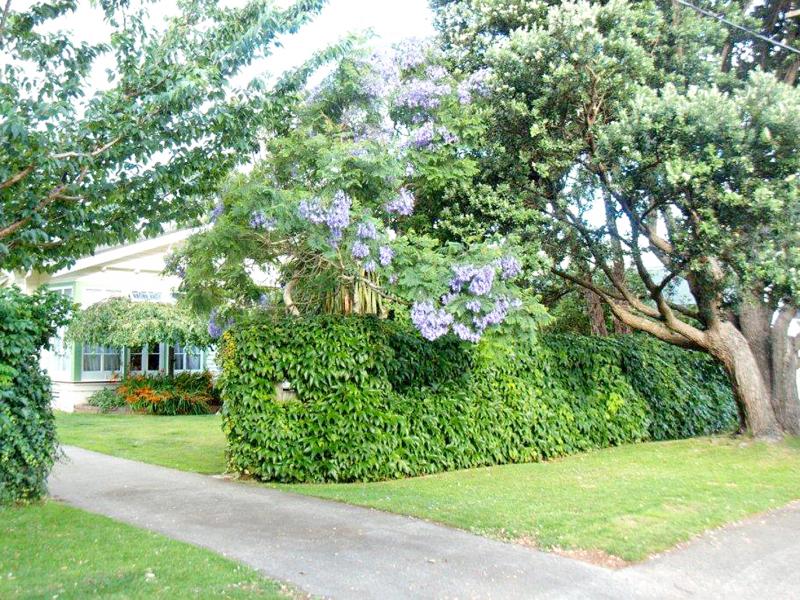 5 Glen Iris Grove, Woburn, Lower Hutt - Carousel 15