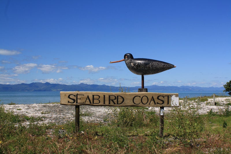 1191 East Coast Road, Pokeno - Carousel 17