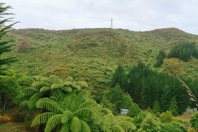 228 Hill Road, Belmont, Lower Hutt - Carousel 19