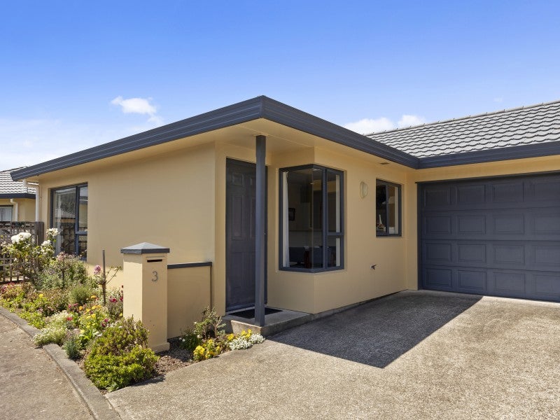 3/58A MOLESWORTH ST, TAITA, LOWER HUTT - Carousel 1