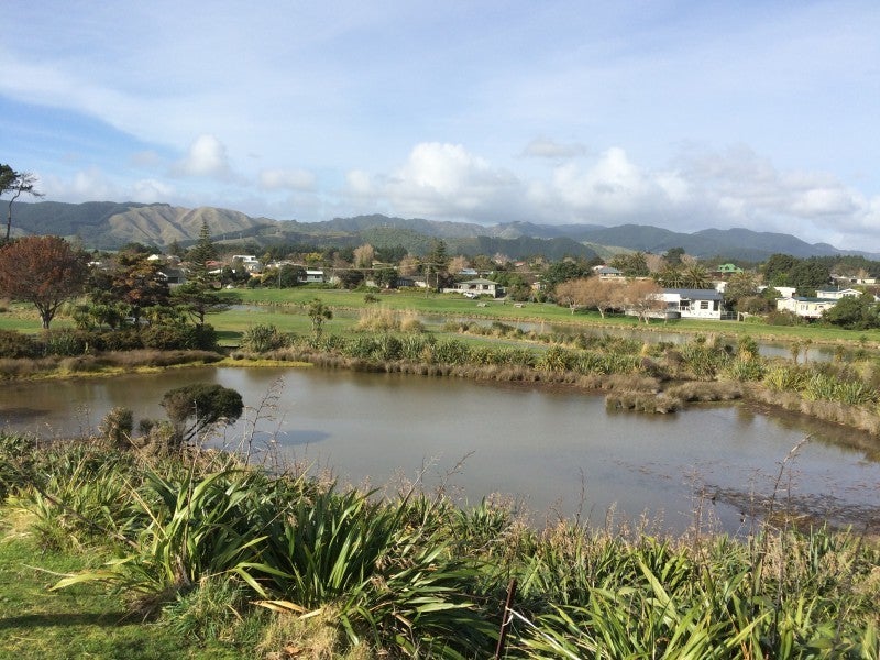 147 Weggery Drive, Waikanae Beach, Waikanae - Carousel 17