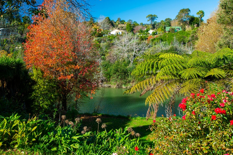 49 Island Road, Whataupoko, Gisborne - Carousel 2