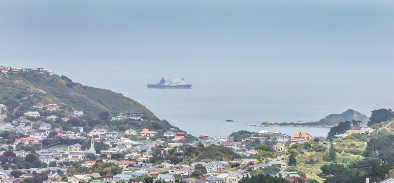 16 Havelock Street, Mornington, Wellington - Carousel 2