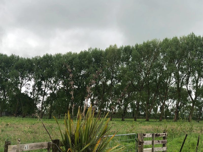 65 Paetai Road, Huntly - Carousel 1