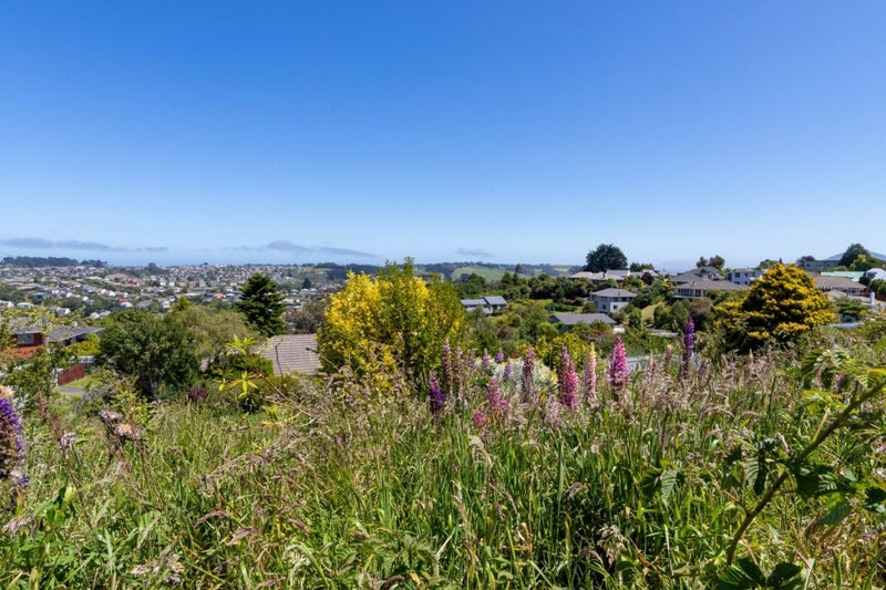 10 Dorset Street, Balaclava, Dunedin - Carousel 21