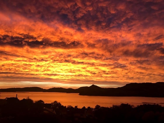 17 Tui Street, Saint Leonards, Dunedin - Carousel 24