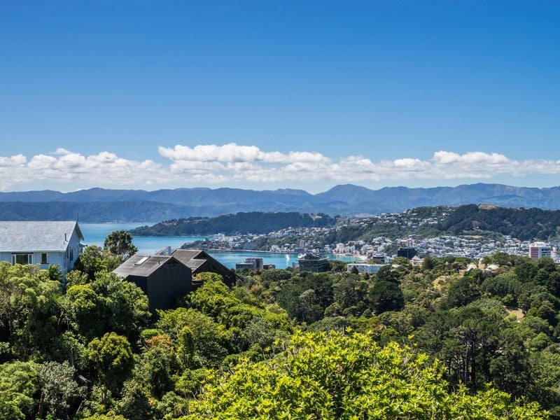 29 Military Road, Northland, Wellington - Carousel 2
