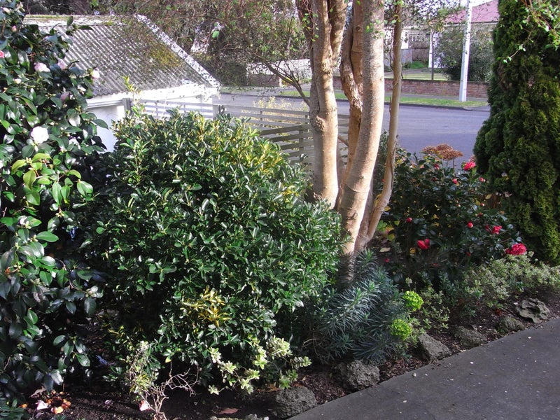 36A College Street, College Estate, Whanganui - Carousel 10
