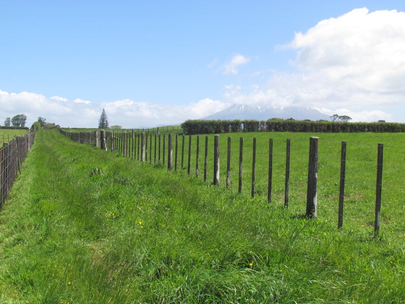 0 Mountain Road, Cardiff, Stratford - Carousel 2