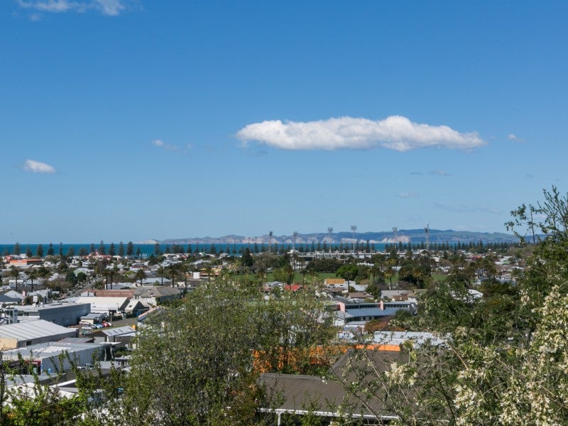 11A Guys Hill Road, Hospital Hill, Napier - Carousel 2